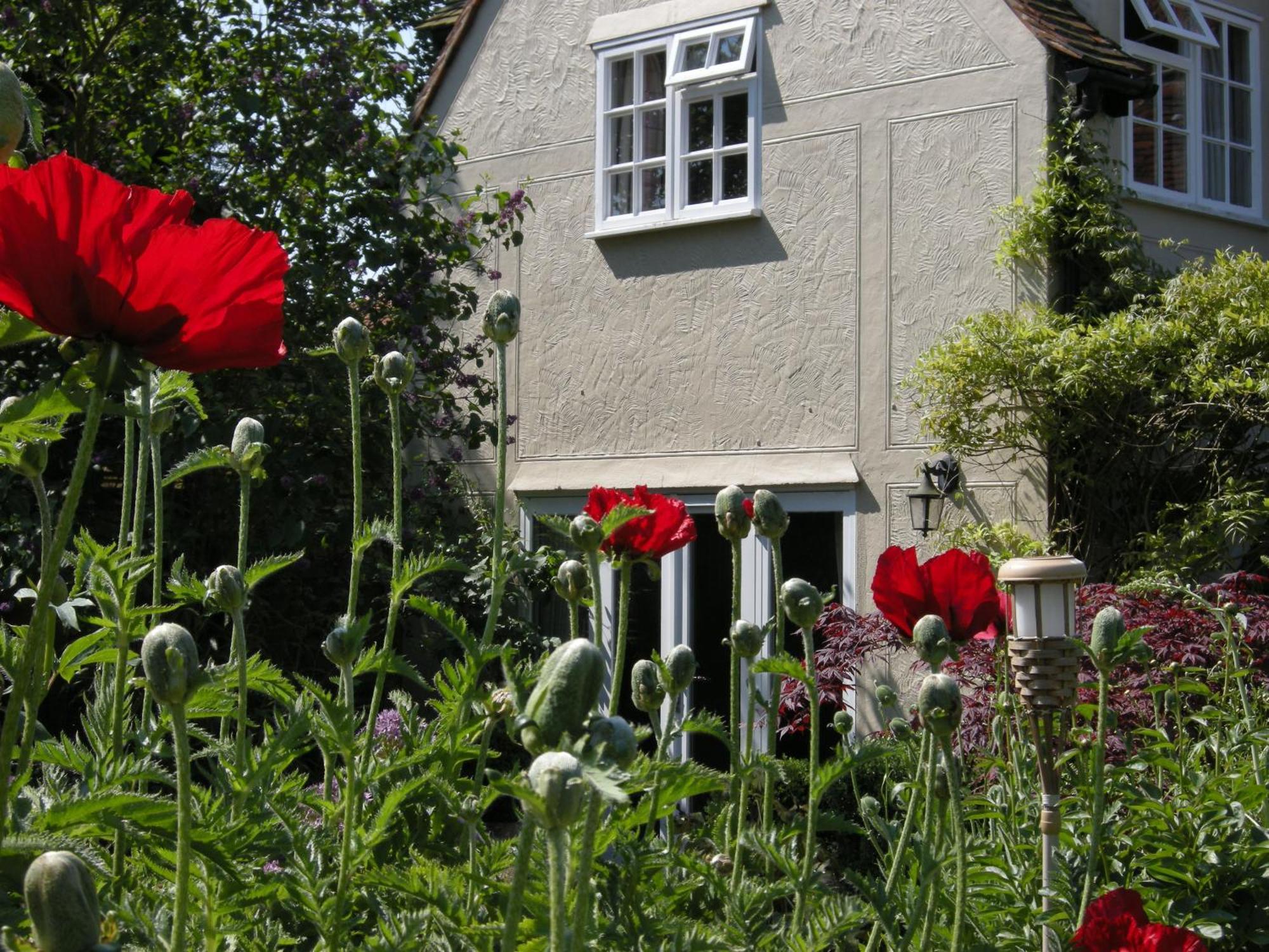 Motts Bed & Breakfast Great Dunmow Exterior photo