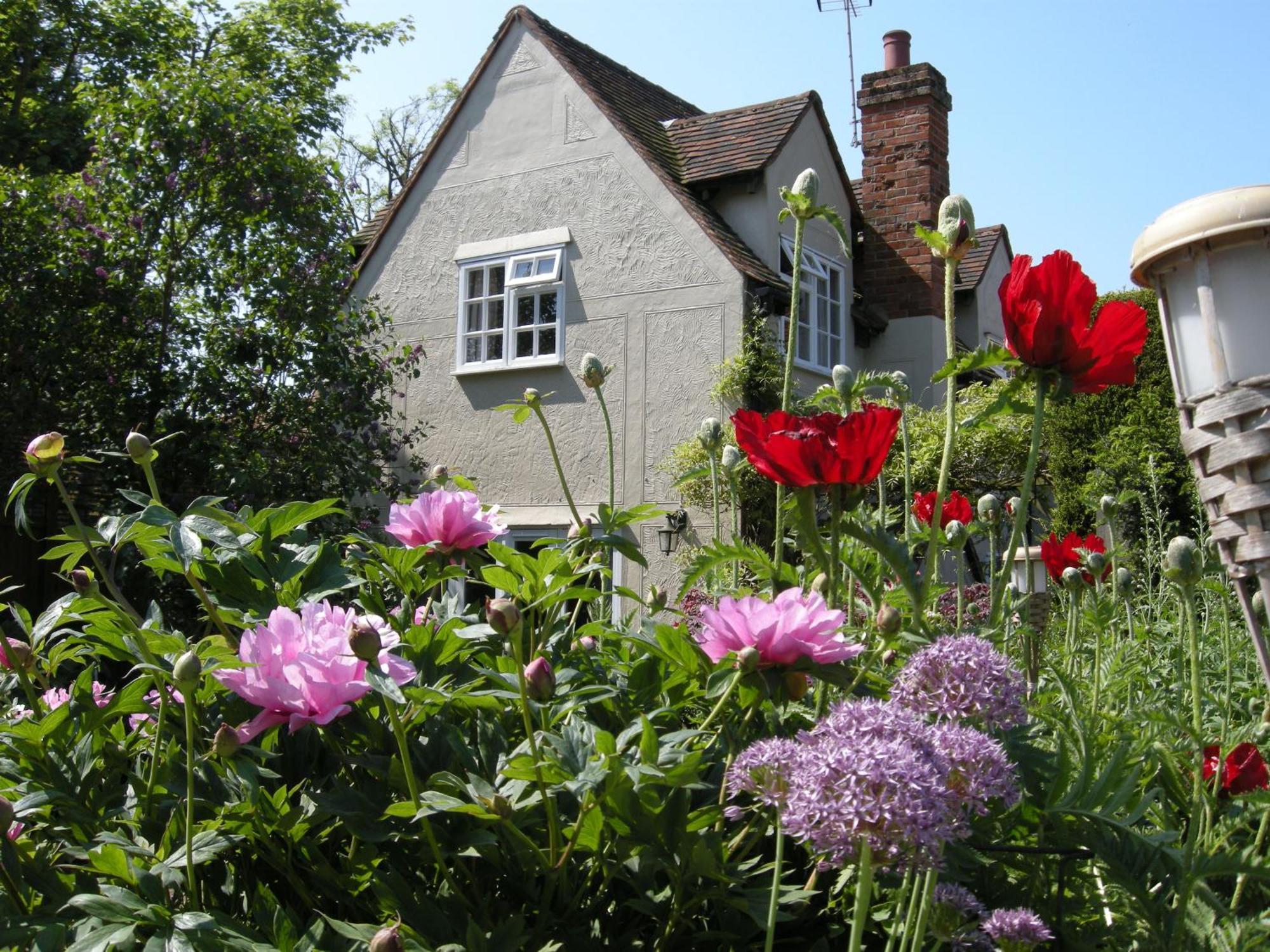 Motts Bed & Breakfast Great Dunmow Exterior photo